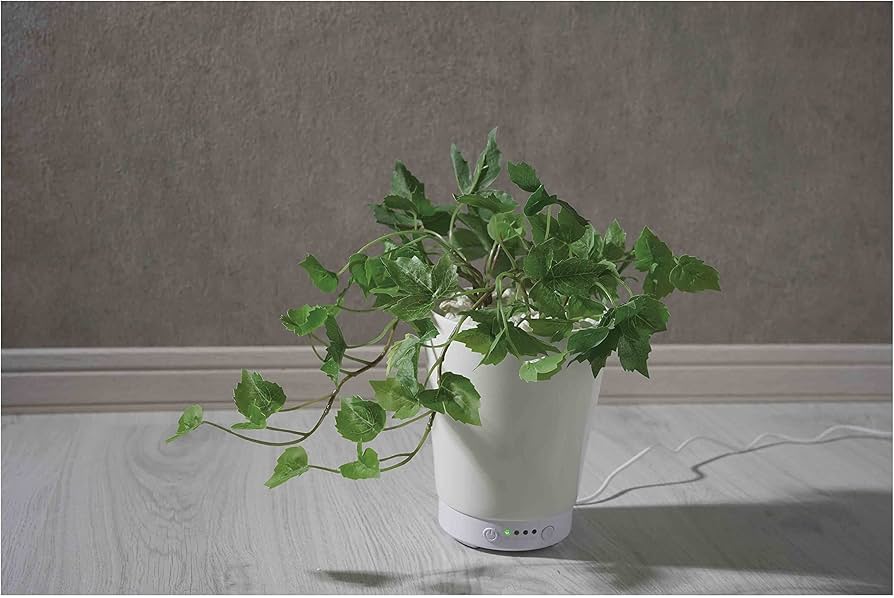 Amazon｜LITHON ライソン グリーンアロマミスト メープルアイビー