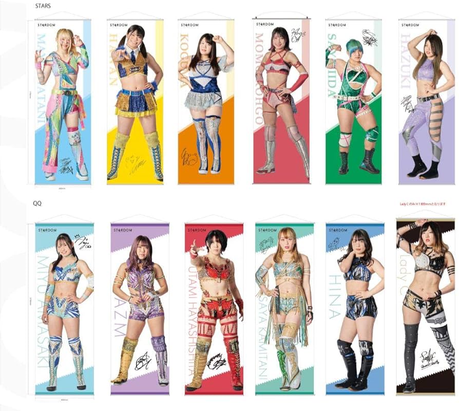Amazon.co.jp: 最終 STARDOM スターダム 女子プロレス 向後桃 等身大