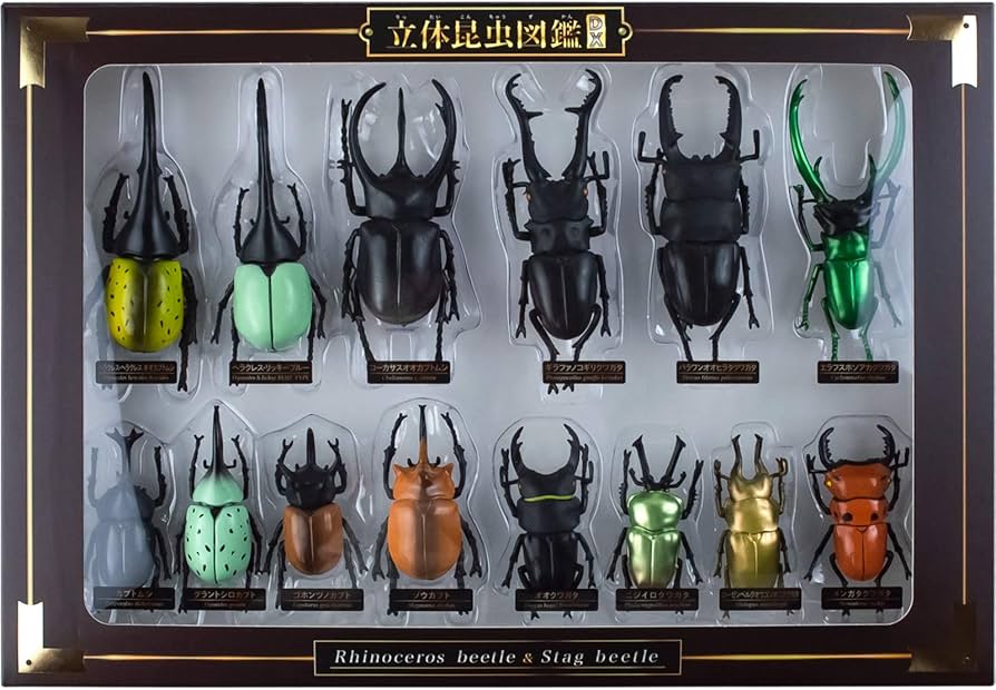 Amazon.co.jp: ザ・アクセス 立体昆虫図鑑DX カブトムシ クワガタ 14種