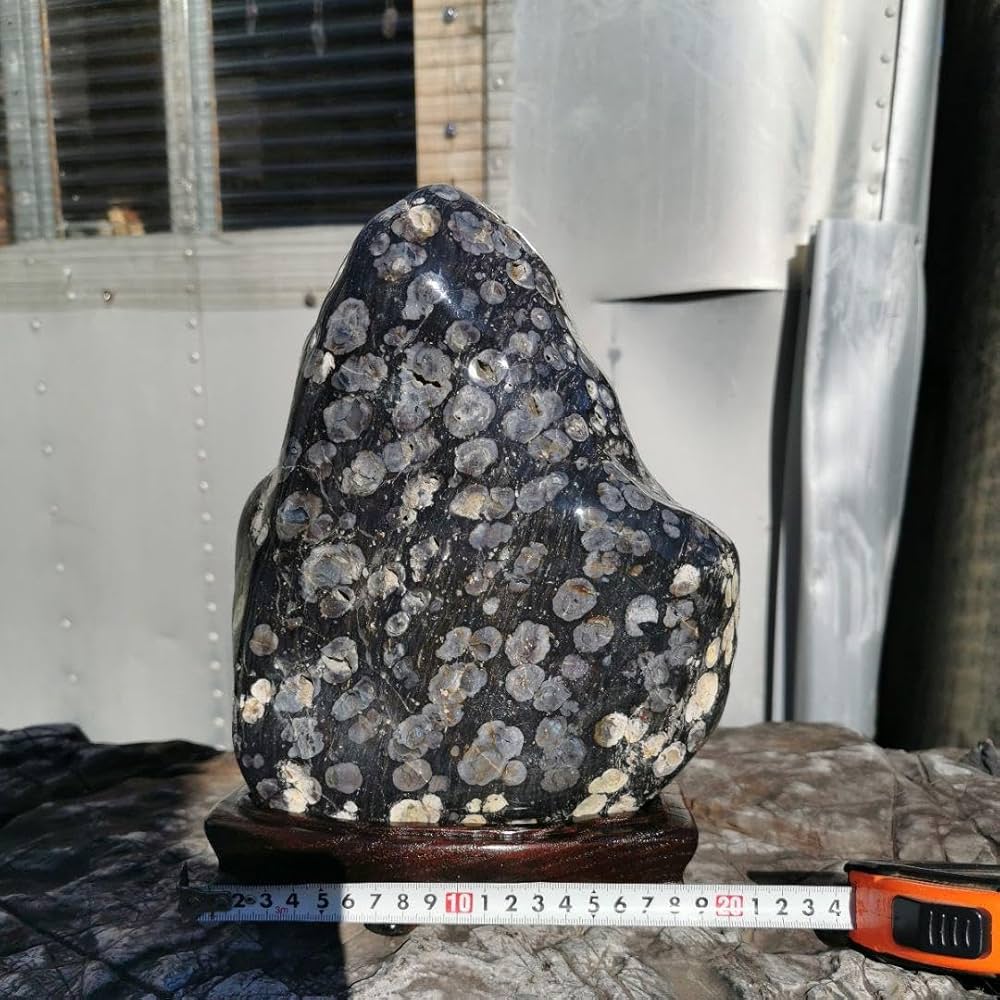 Amazon.co.jp: 東北産 梅花石 6.7キロ 鑑賞石 石 置物 オブジェ