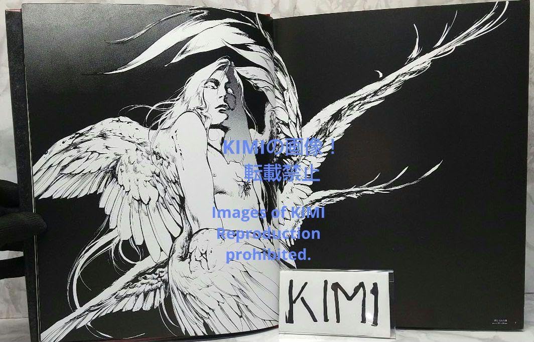 Amazon.co.jp: Santa Lilio Sangre 緋いユリ 小島文美画集 単行本 2011