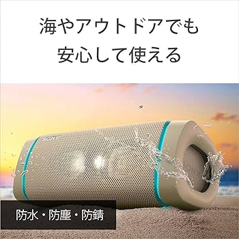 Amazon.co.jp: ソニー ワイヤレスポータブルスピーカー SRS-XB33