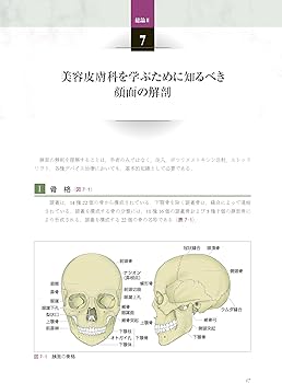 あたらしい美容皮膚科学 | 日本美容皮膚科学会, 尾見 徳弥, 宮田 成章