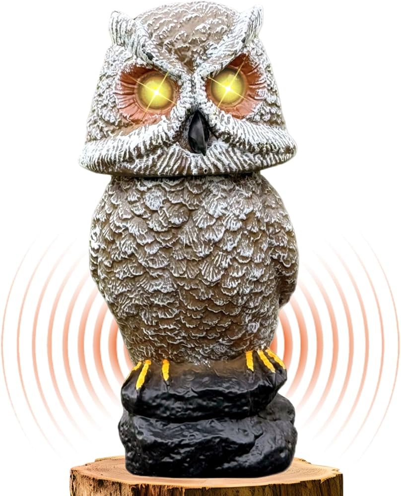 Amazon.com: Ugold Solar Powered Owl with Motion Detection, Silent