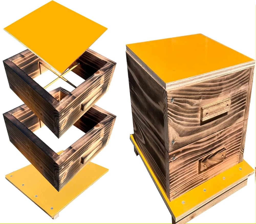 Amazon｜日本蜜蜂 巣箱 ニホンミツバチ 日本みつばち 重箱式巣箱 2段