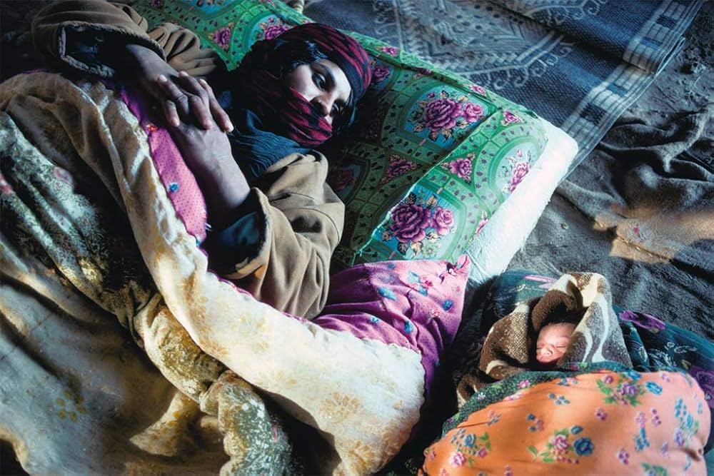 71QxA+NmLcL._AC_UF1000,