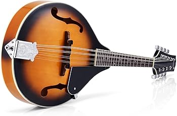 Amazon | Donner マンドリン 8弦 初心者セット ソフトケース&ピック