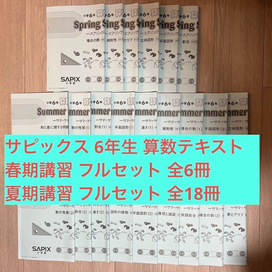 サピックス SAPIX 6年 社会 1年分 テキスト チェックテスト フルセット