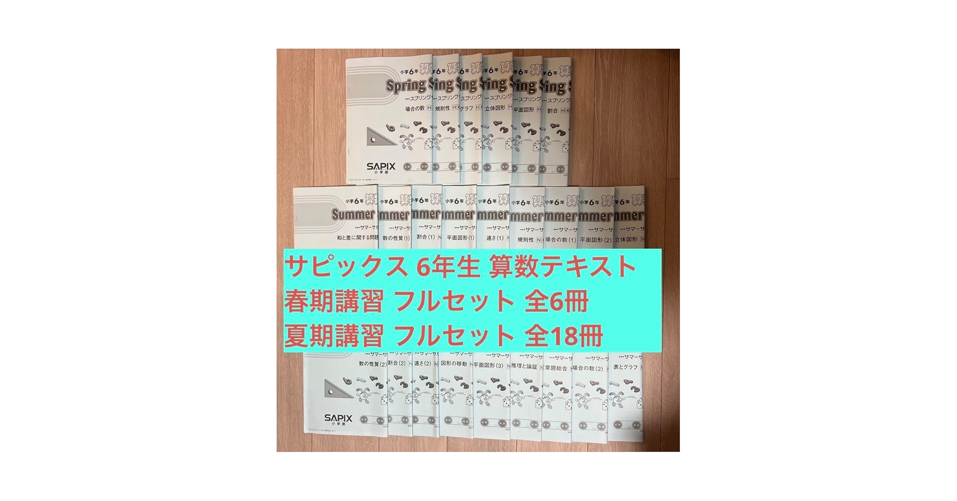 2025年受験組 サピックス6年 国語教材セット SAPIX小6国語 最難関対策
