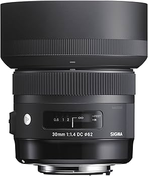 Amazon.com : Sigma 30mm F1.4 Art DC HSM Lens for Canon : Digital