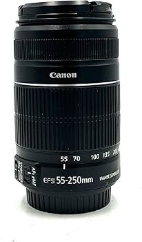 Amazon.co.jp: (白箱)EF-S55-250mm F4-5.6 IS II(#) : 家電＆カメラ