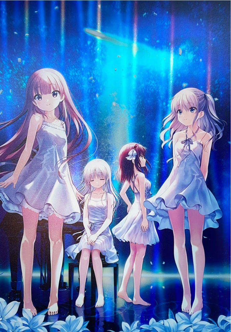 Amazon.co.jp: リフレクションアートReflectionArt No.02 ビジュアル