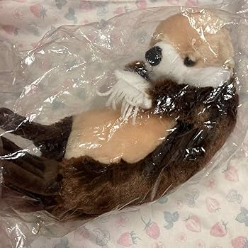 Amazon.co.jp: マリンワールド ラッコ ぬいぐるみ : おもちゃ