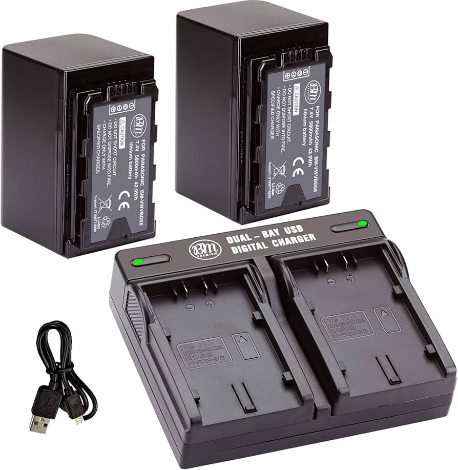Amazon.com: BM Premium 2 VW-VBD58 Batteries and Dual Bay Charger