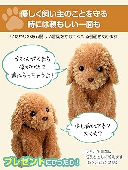 Amazon.co.jp: 大人向け 音声認識 ぬいぐるみ 【 おしゃべりトイ