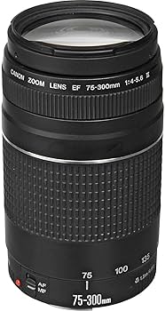 Amazon.com : Canon EF 75-300mm f/4-5.6 III Telephoto Zoom Lens for