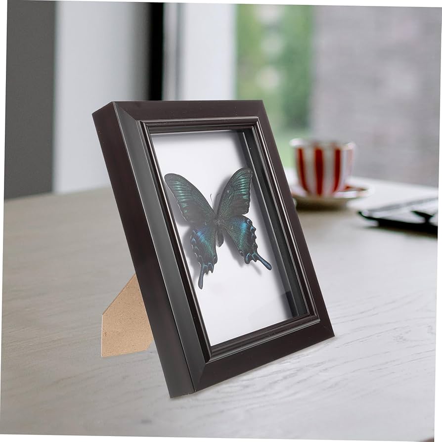 週末セール 蝶の標本 多種類 フレーム付き 【公式通販】