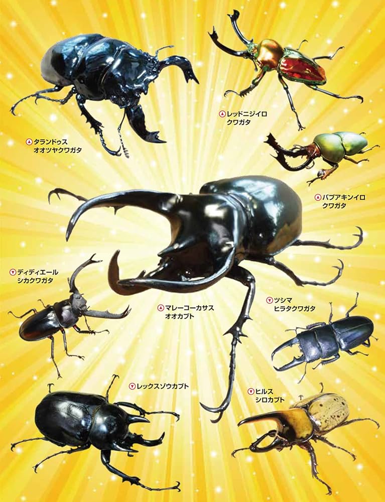 Amazon.co.jp: 世界のカブトムシ・クワガタムシ リアルフィギュア図鑑