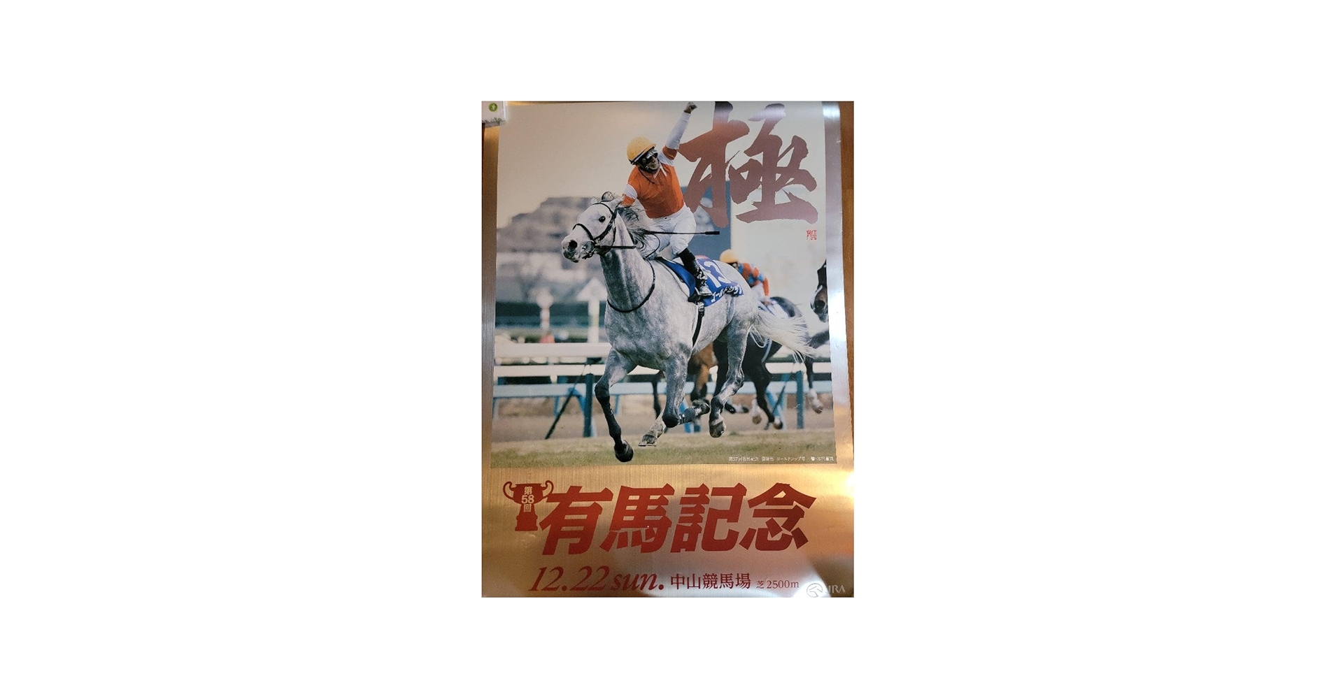 Amazon.co.jp: JRA 非売品B1ポスター ゴールドシップ 2013年有馬記念