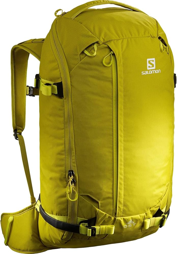 Amazon.co.jp: SALOMON(サロモン) スキー スキーバッグ QST 30