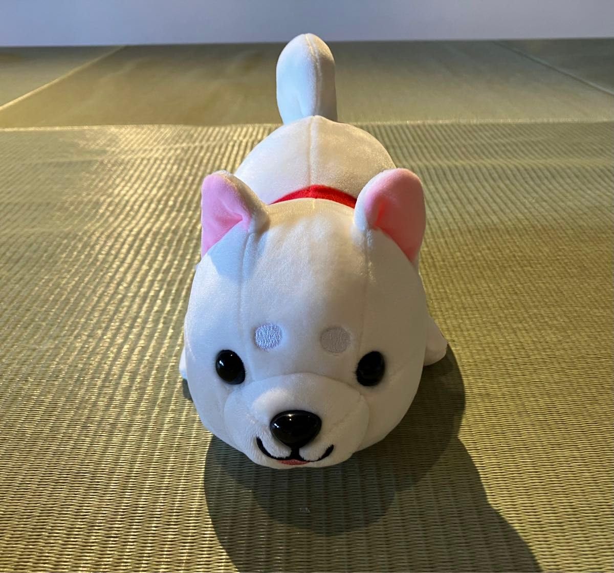 Amazon.co.jp: ハッピーまめしば 白柴ぬいぐるみ : おもちゃ