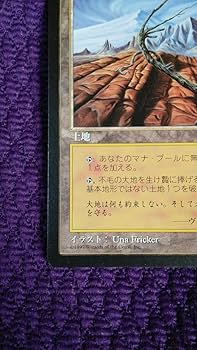 MTG 初版 テンペスト 不毛の大地 日本語 4枚セット MTG 【不毛の大地