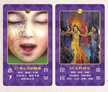 Amazon.co.jp: 梅花心易入門 生年月日が証す秘中の占法 易経禅カード