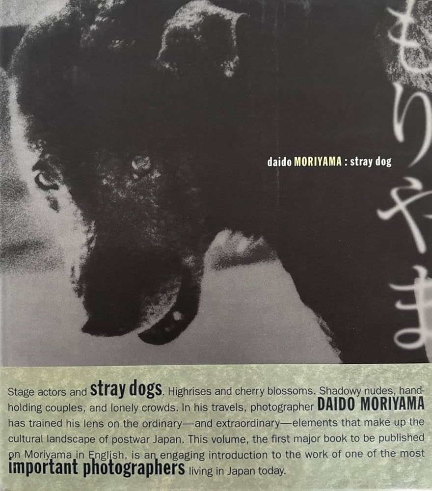 Amazon.com: Daido Moriyama: Stray Dog: 9780918471505: Alexandra