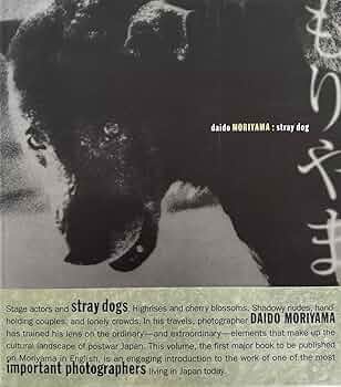 Amazon | Daido Moriyama: Stray Dog | Phillips, Sandra S., Moriyama
