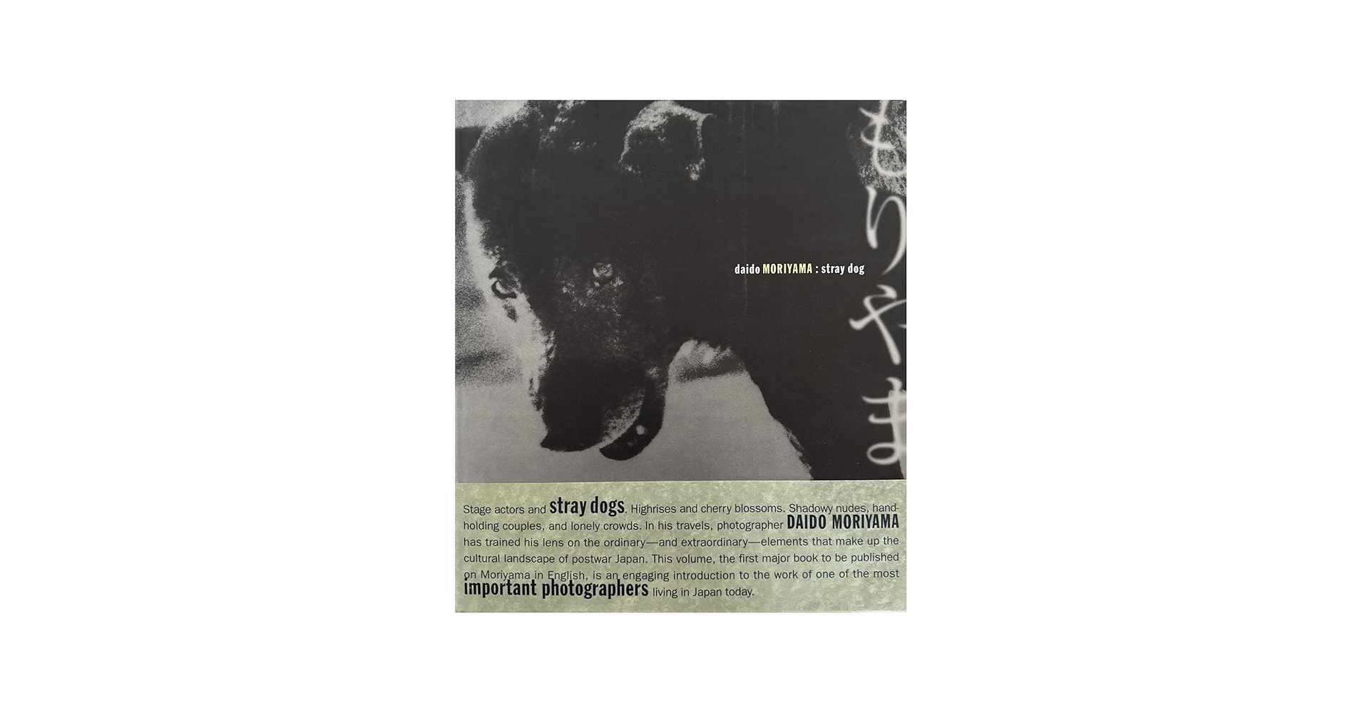 Amazon.com: Daido Moriyama: Stray Dog: 9780918471505: Alexandra