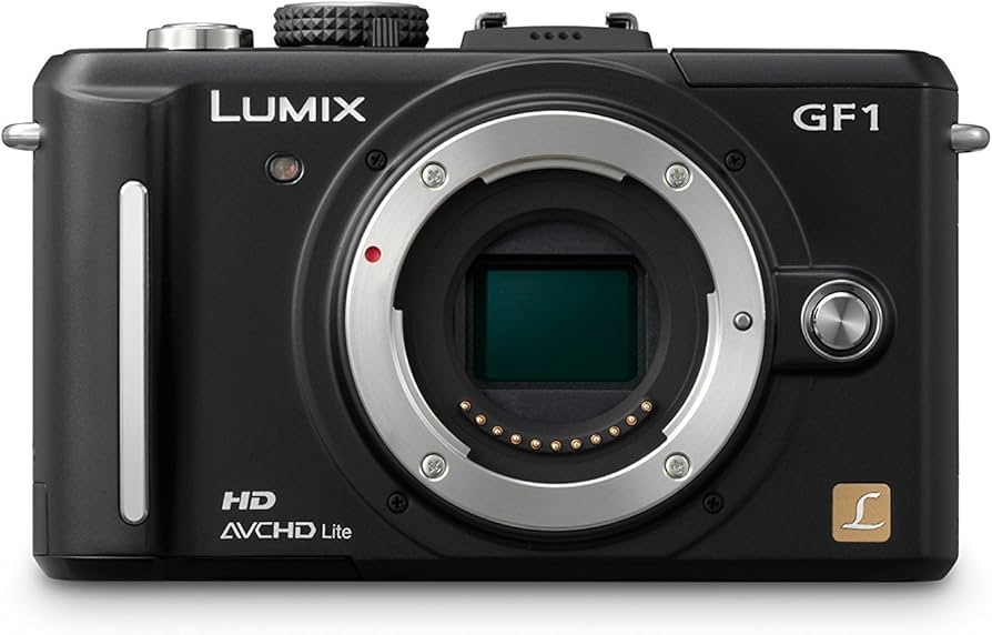 Amazon.com : Panasonic Lumix DMC-GF1 12.1MP Micro Four-Thirds