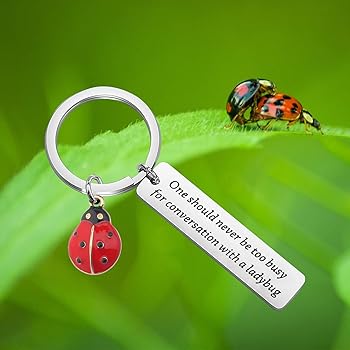 Amazon.co.jp: CYTING てんとう虫ギフト てんとう虫キーホルダー