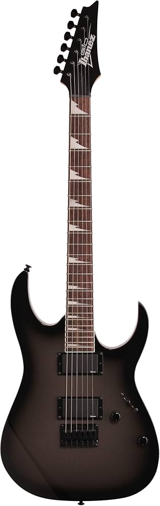 Amazon.com: Ibanez GIO Series GRG121DX - Metallic Gray Sunburst
