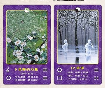 Amazon.co.jp: 梅花心易入門 生年月日が証す秘中の占法 易経禅カード