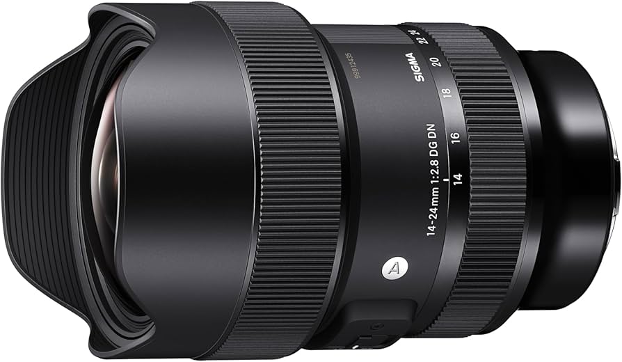 Amazon.com : Sigma 14-24mm F2.8 DG DN Art Lens for Leica L