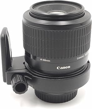 Amazon.com : Canon 65mm MP-E F2.8 1-5x MF Lens : Camera Lenses