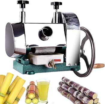 71Ufo8w67wL._AC_UF350,