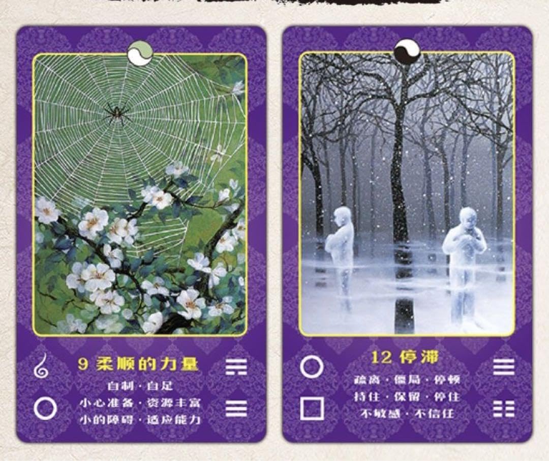 Amazon.co.jp: 梅花心易入門 生年月日が証す秘中の占法 易経禅カード