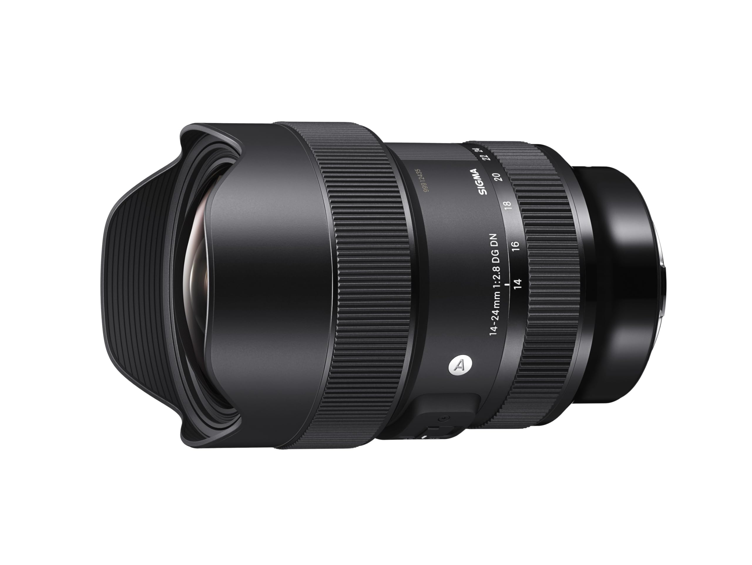 Amazon.com : Sigma 14-24mm F2.8 DG DN Art Lens for Leica L