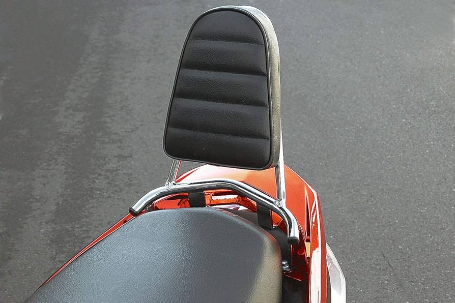 Amazon | キジマ(Kijima) バイク バックレスト シグナスX メッキ 背