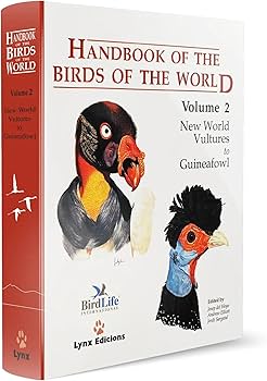 71VL25Yk4hL._AC_UF350,