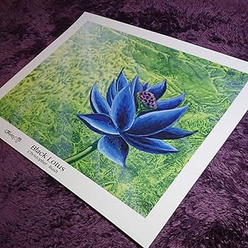 Amazon.co.jp: 大判《Black Lotus》Christopher Rush 証明書付 サイン