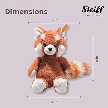 71V+p9SAnTL._AC_UF350,