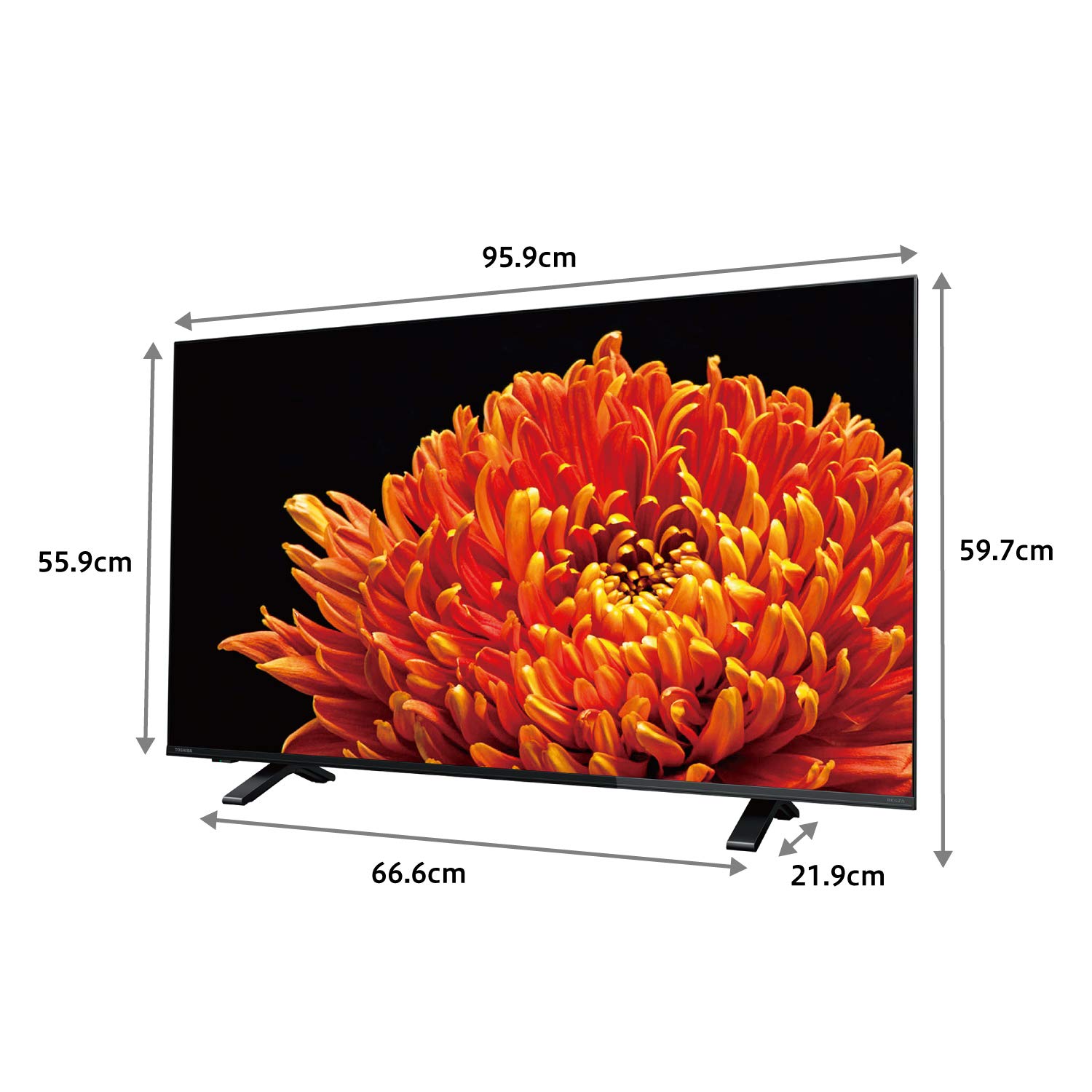 Amazon | 東芝 43V型 液晶テレビ レグザ 43C340X 4Kチューナー内蔵 外