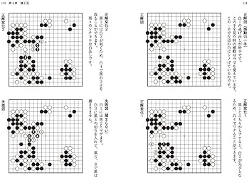 見て並べて上達! 囲碁・プロが選んだ好手好局集 (囲碁人ブックス