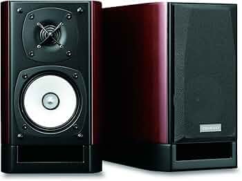 71VooH9yjOL._AC_UF350,