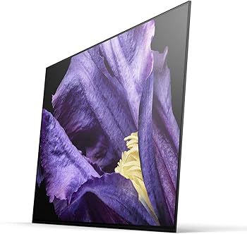 Amazon | ソニー SONY 4K対応 有機EL テレビ 55V型 ブラビア KJ-55A9F