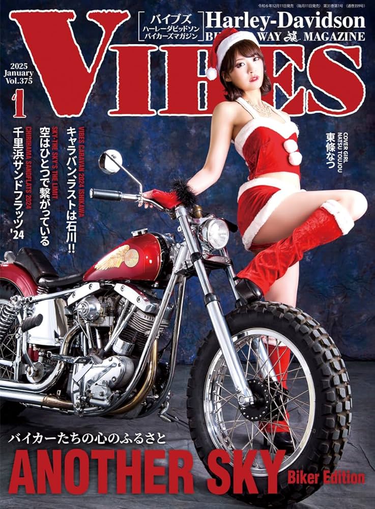 Amazon.co.jp: VIBES (バイブズ) 2025年1月号 (vol.375) : バイブズ