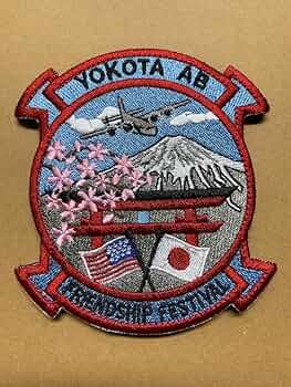 71W9U5pWWVL._AC_UF350,