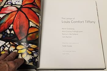 71WByA4tA4L._AC_UF350,